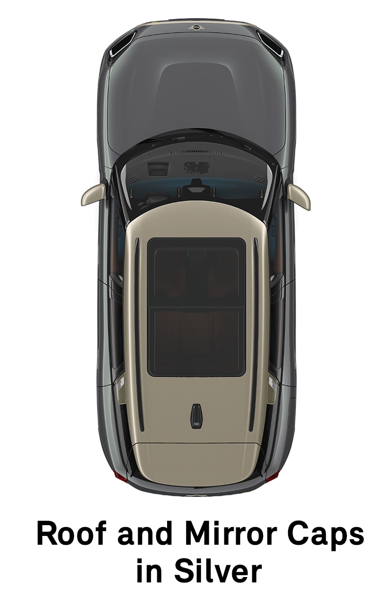 MINI - equipment - favoured style roof and mirror caps in silver