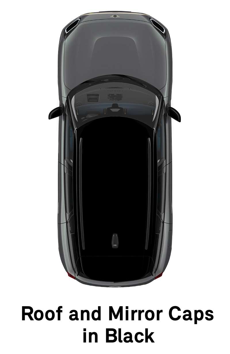 mini-favoured-roof-in-black